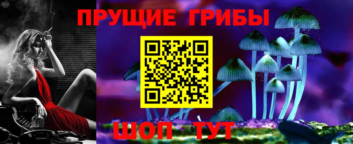 Галлюциногенные грибы прущие грибы  Вход с VPN  Новочеркасск 
